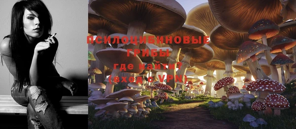 бошки Заволжье
