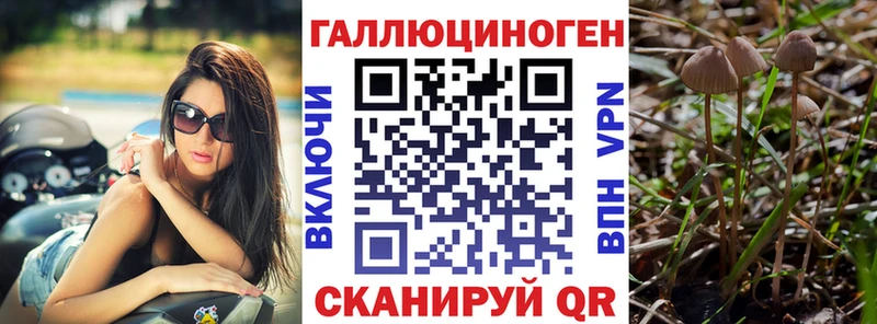 Галлюциногенные грибы мицелий  Фрязино 