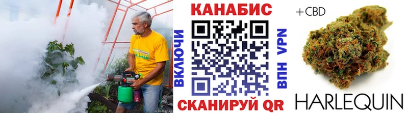 Бошки марихуана сатива  Фрязино 